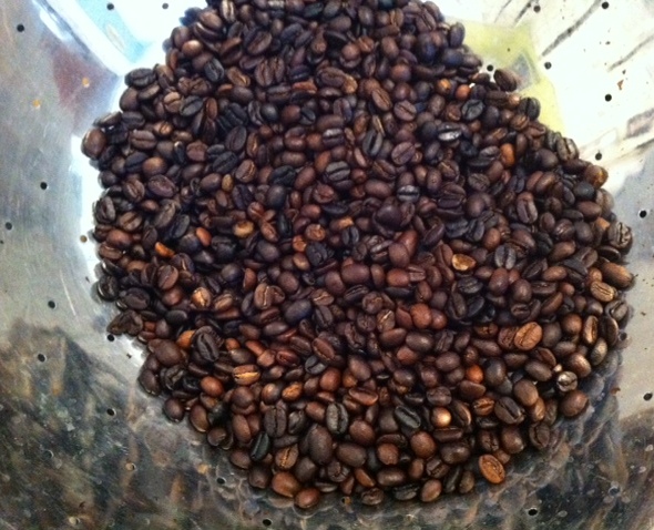 Beautiful freshly roasted coffee beans